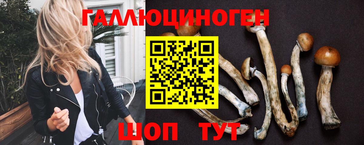 Псилоцибиновые грибы мухоморы Егорьевск
